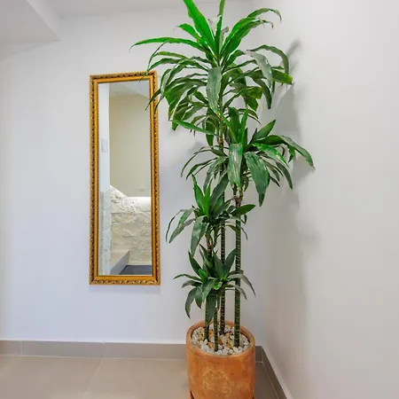 Olea Delux Guest house *