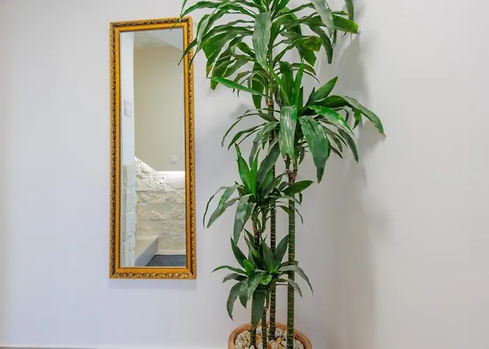 Olea Delux Гостевой дом 3*